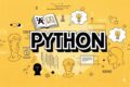 Python per le Digital Humanities: Storia, Strutture Dati e Librerie Fondamentali